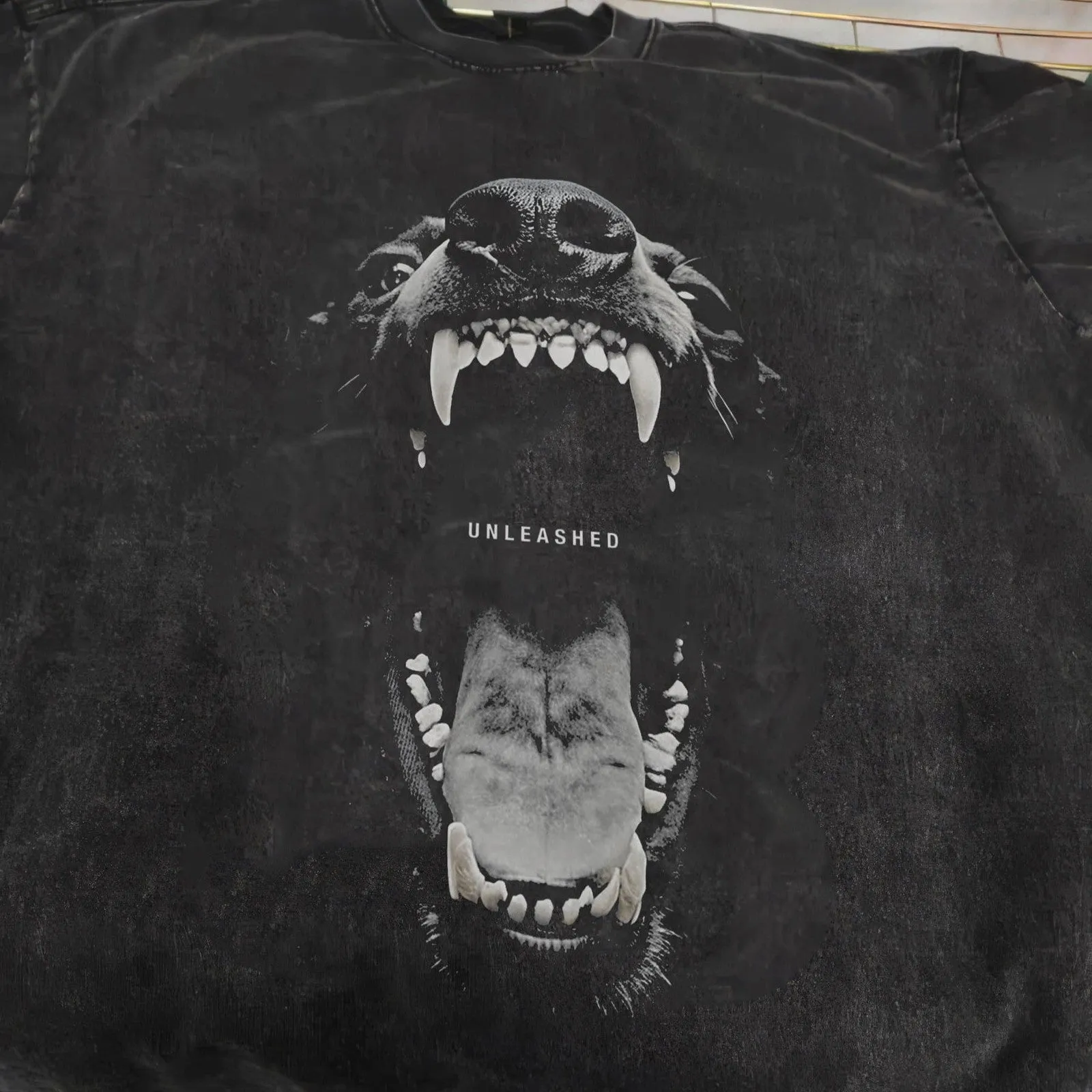 Mad Dog Doberman Washed Oversize T-Shirt