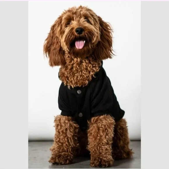 Pets Hoodie | I Hex Normal People Graphic | Black Soft Jersey Cotton