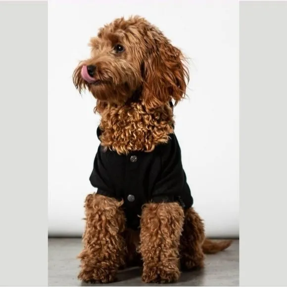 Pets Hoodie | I Hex Normal People Graphic | Black Soft Jersey Cotton