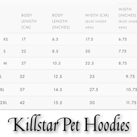 Pets Hoodie | I Hex Normal People Graphic | Black Soft Jersey Cotton